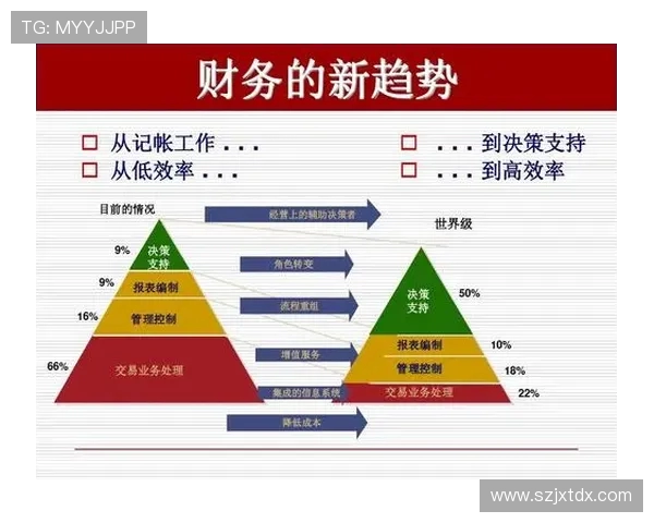 CFO与FNC在企业财务管理中的角色对比与发展趋势分析 CFO与FNC在企业财务管理中的角色对比与发展趋势分析