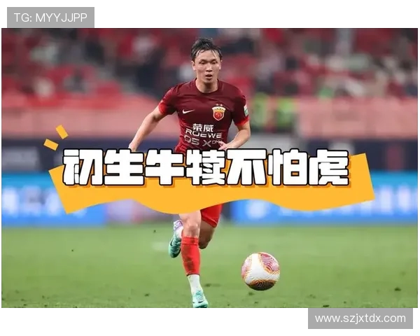 深度洞察中超赛场风云变幻全景解读球队竞争格局与未来走势发展前景