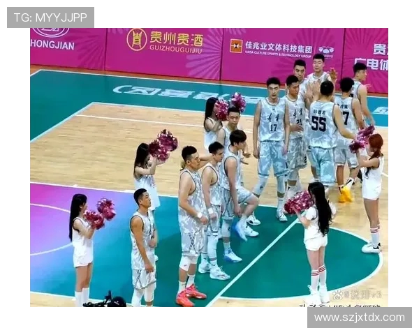 2017全运会辽宁男篮与天津队激战回顾精彩瞬间与战术分析