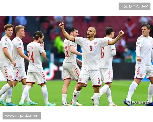 世预赛丹麦与波兰对决前瞻分析及双方阵容预测