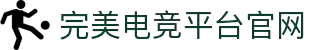 完美电竞•(中国)官方网站-Perfect Esports